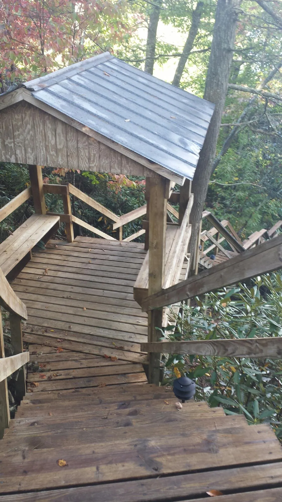 Metal roofed shelter over wooden steps on a wooded walkway — Skylight Repair & Installation work by our crew in Leasburg