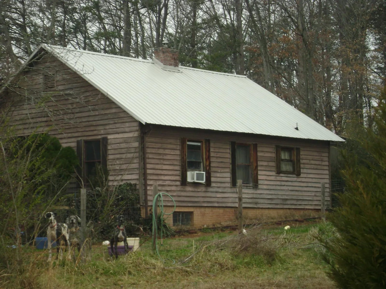 White metal roof on an old wood sided farmhouse, from a Asphalt Shingle Roof Repair job in Leasburg